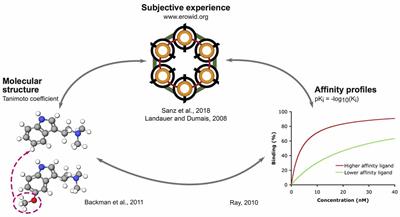 The Varieties of the Psychedelic Experience: A Preliminary Study of the Association Between the Reported Subjective Effects and the Binding Affinity Profiles of Substituted Phenethylamines and Tryptamines